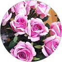 Rosa e profile picture